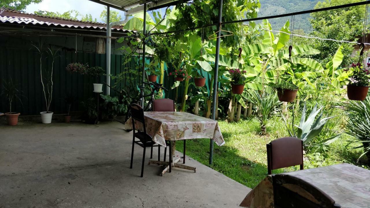Tikhaya Gavan Guest House Gagra Exterior photo